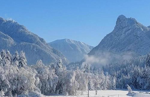 Gemütliche Alpenwohnung in Altenau - Foto 7