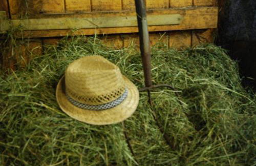 Haus Mitterstang - Foto 20