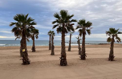 Sol y Mar - Photo 50