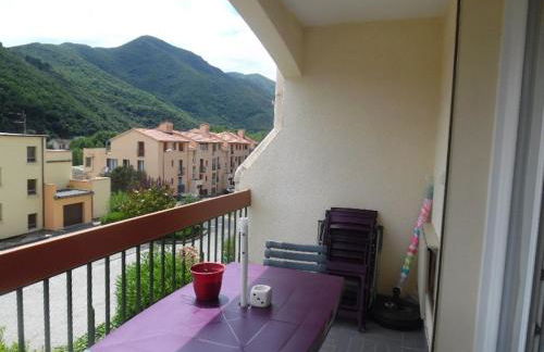 Appartement F2 avec balcon et parking à Amélie-les-Bains, idéal pour 4 personnes - FR-1-703-78 - Foto 5