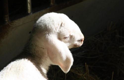 Agritur Darial - Photo 96