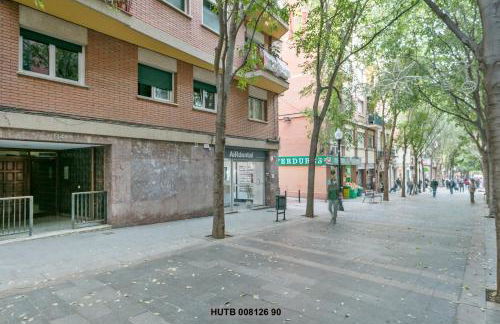 Alcam Rogent - Photo 16