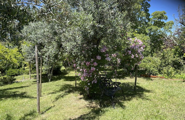 Charming Garden Retreat in Pedrogao Grande - Foto 23