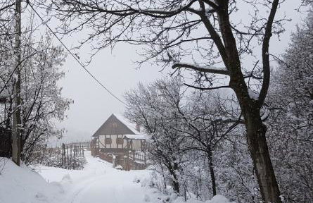 Domus Antiqua - Foto 27