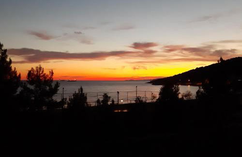 Soula's Sunshine Green Apartment - Photo 1