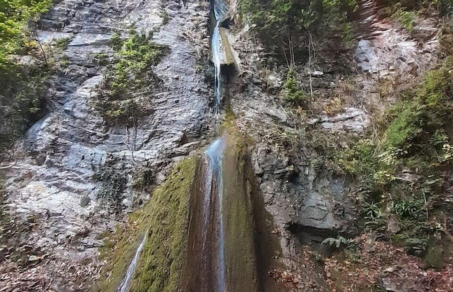 Saecula Natural Village Experience - Foto 62