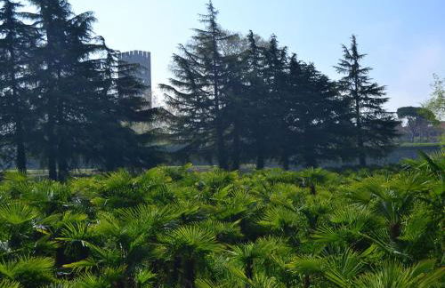 Dreamy Cottage in Trebbio with Pool - Foto 36