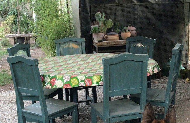 Dark Green House - Chacras de Coria - Photo 42