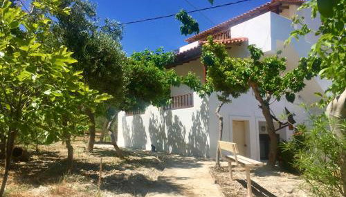 Goldy's Villa - Foto 5