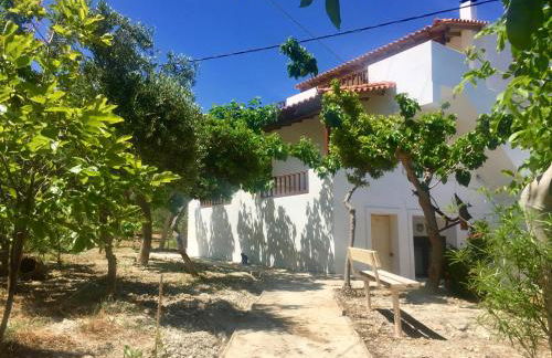 Goldy's Villa - Foto 5