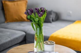 Villa Forestview - Foto 9