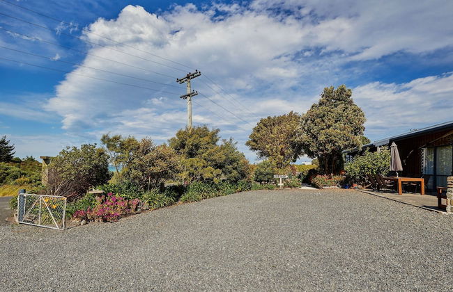 Barnacle Bills - Photo 43