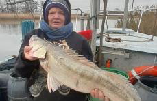 Cicha Przystań - Foto 19