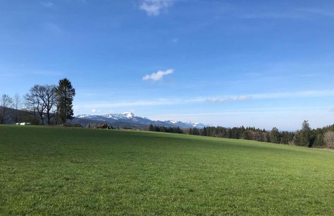 Holiday Apartment Crokus Siegsdorf - Foto 29