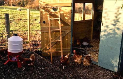 The Summerhouse, countryside retreat with private hot tub - Foto 36