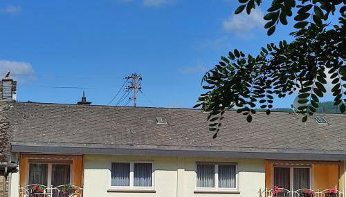 Ferienwohnung 1 Am Petersberg - Photo 3