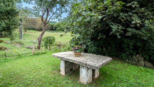 La Torrentera de Cantabria - Foto 5