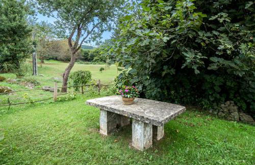 La Torrentera de Cantabria - Foto 5