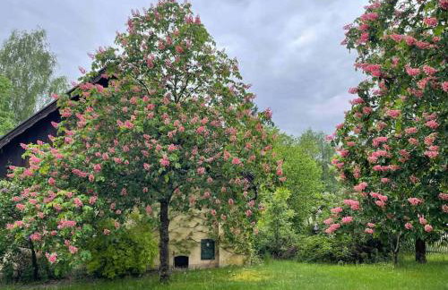 Komfortowy dom w lesie - Foto 23