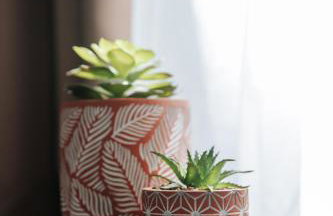 Athena City Apartment - Foto 21