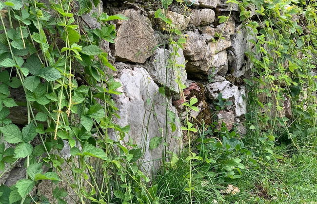 Holiday Home Bajka - Foto 22