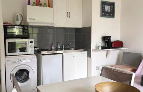 T2 Horizon Les Rosaires vue mer - Foto 14