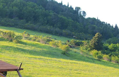 Agriturismo Becerca Vegan - Foto 43