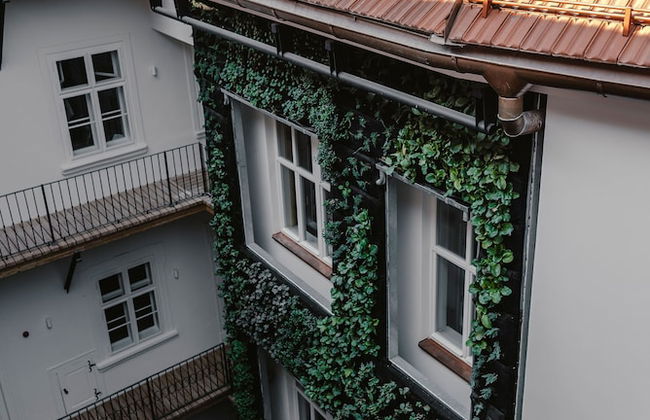 Luxury Apartments Zelny Trh - Foto 22