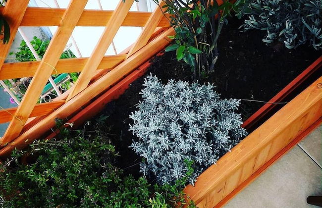 My Room in Trani - Foto 39