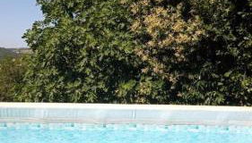 La Cascina di Muttley - Foto 5