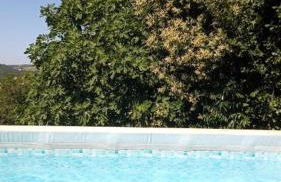 La Cascina di Muttley - Foto 5