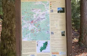 Holiday Home Trifels by Interhome - Foto 31