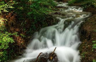 Ferienwohnung am Reichenbach - Foto 34