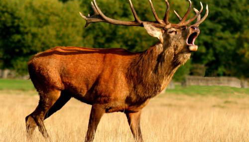 Casa de la Panadería - Foto 5