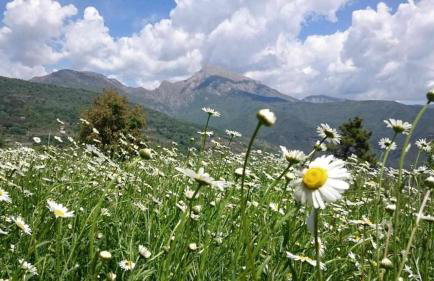 Agriturismo Al Pagan - Foto 106