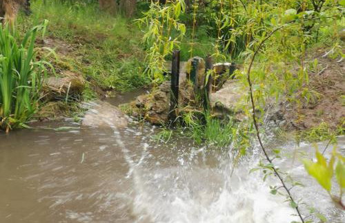 Jaworowy Stok z widokiem na góry i ogrodem - Foto 46