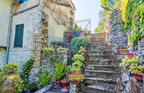 Apartment Nonna Lena by Interhome - Foto 15