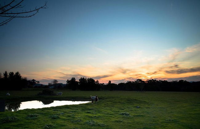Sanctuary Park Cottages - Photo 56