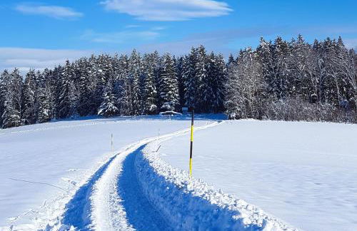 Ferienwohnung Irene - Foto 37