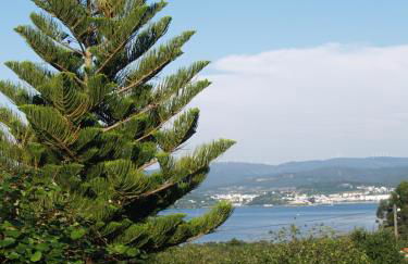 Casa Iris - Paraíso Ortegal - Foto 34