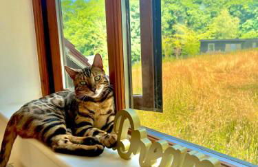 Salvi's Hideout - Foto 34