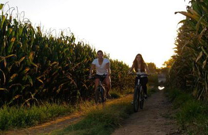 Herdade do Sardanito da Frente - Foto 23