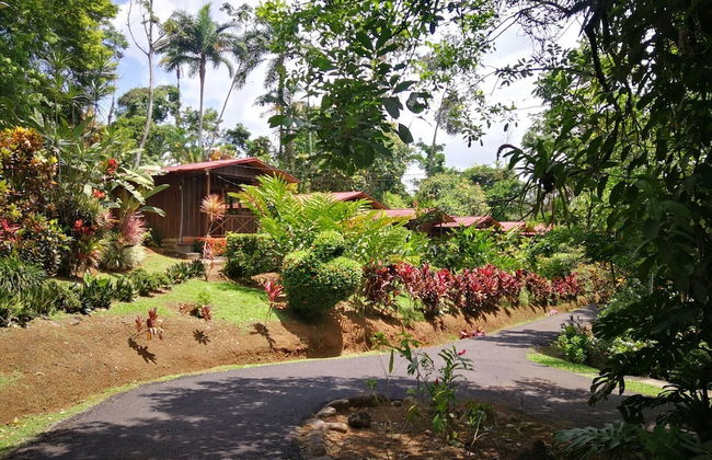 Villas Josipek - Foto 25