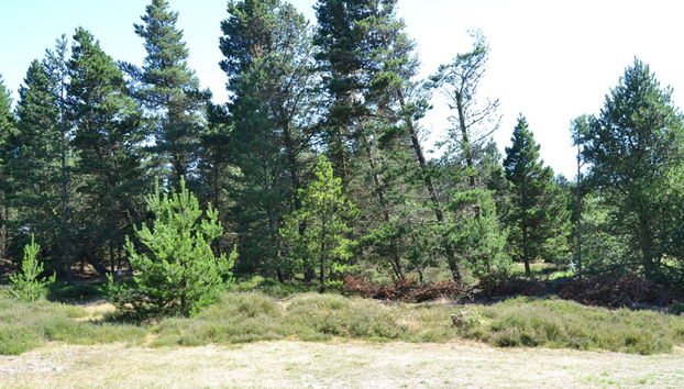 "Tirsa" - 3.9km from the sea - Foto 4, Place