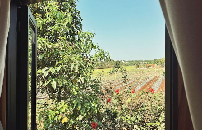 XOM Organic Farm Stay - Photo 37