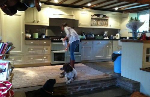 15th Century 6-bed Farmhouse, Sleeps 11, Pets Ok - Foto 99