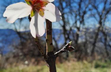 Casa Carmen - Photo 30