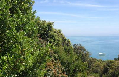 Holiday Homes Marina apartments - Foto 80