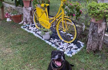 Cottage Lina - Photo 42