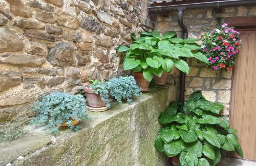 Casa Julio - Photo 2